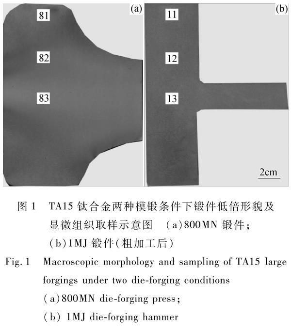 1714360339797152.jpg 360截圖16460525447384.jpg