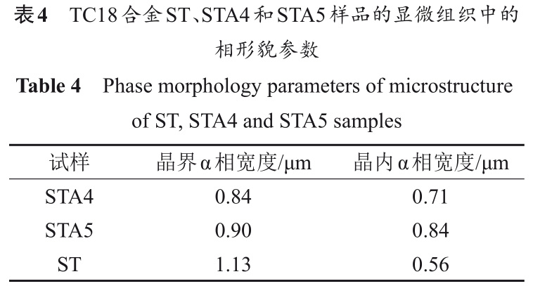 1733109338359733.jpg b4.jpg