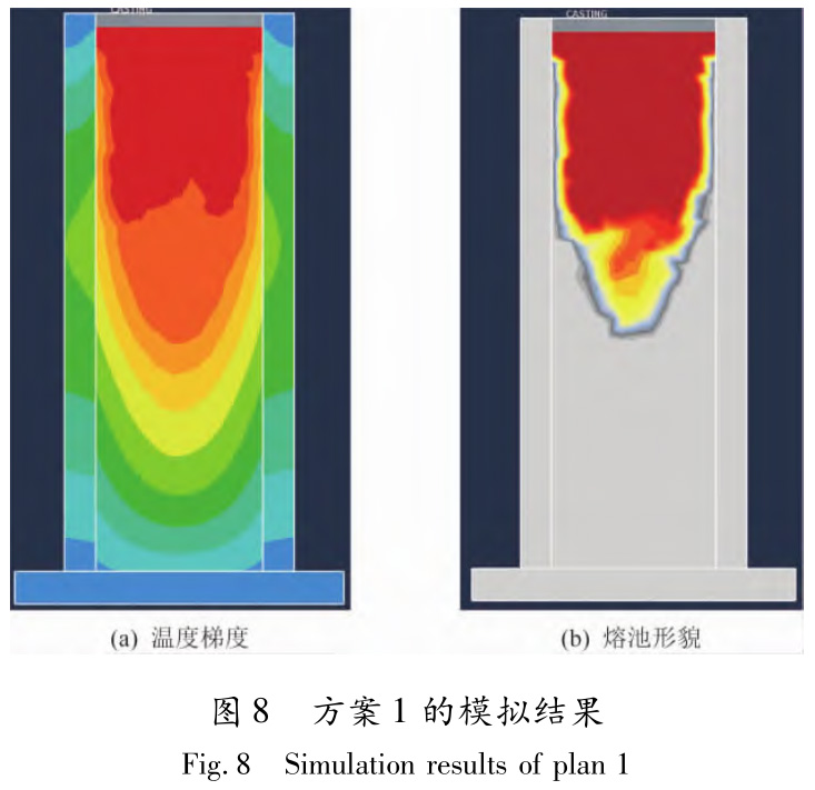 1733366917639277.jpg 8.jpg