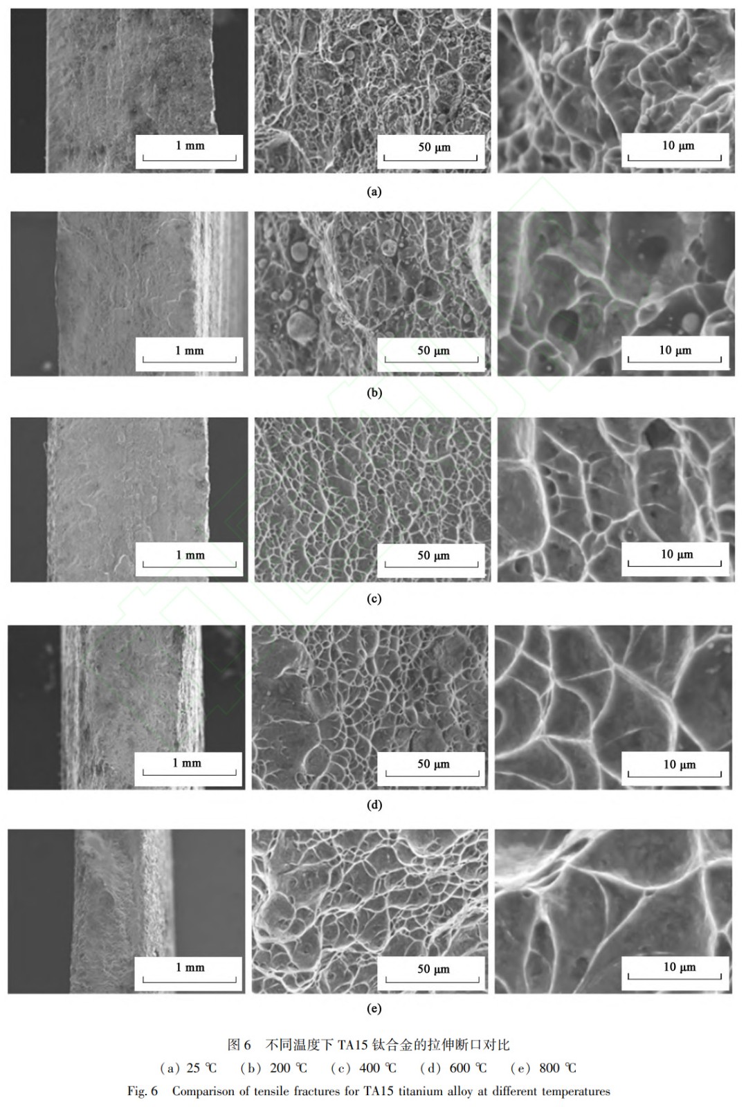 1739626462122534.jpg 6.jpg