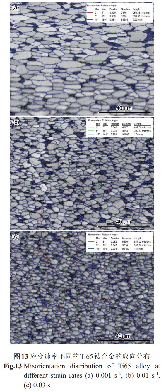 1765683559121570.jpg 13.jpg